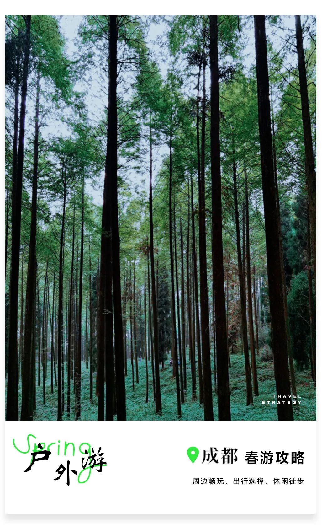 成都徒步原始森林好去处推荐,成都周边徒步森林公园推荐