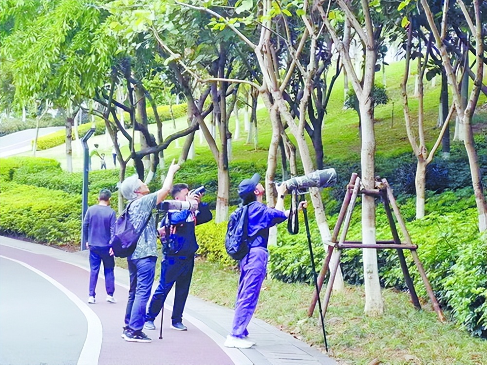 厦门最大的新开公园,厦门比较大的公园