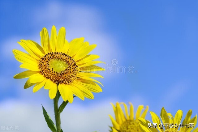 昨天在厂里摔了一跤,在公司摔了一跤几天后查出骨折