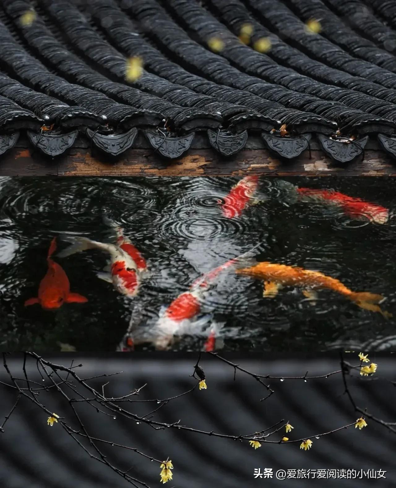 杭州西湖风景名胜区8月攻略,杭州西湖美景旅游攻略三天