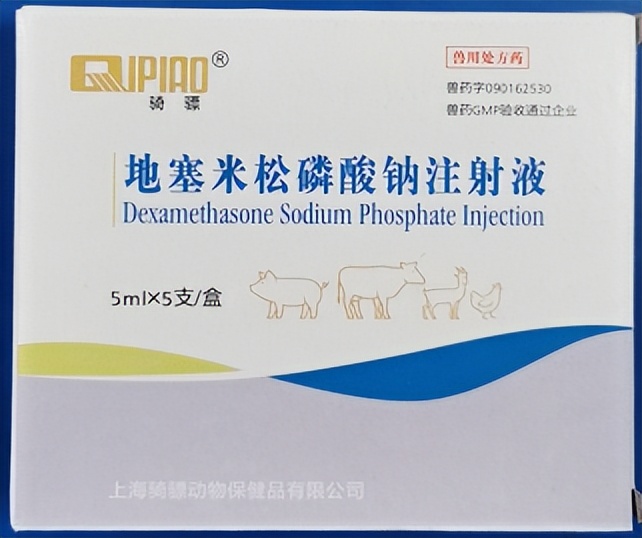 牛羊产后吃草不食,产后母牛长期不反刍怎么办