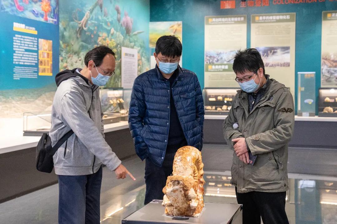 相约博物馆的感受,古生物博物馆南京