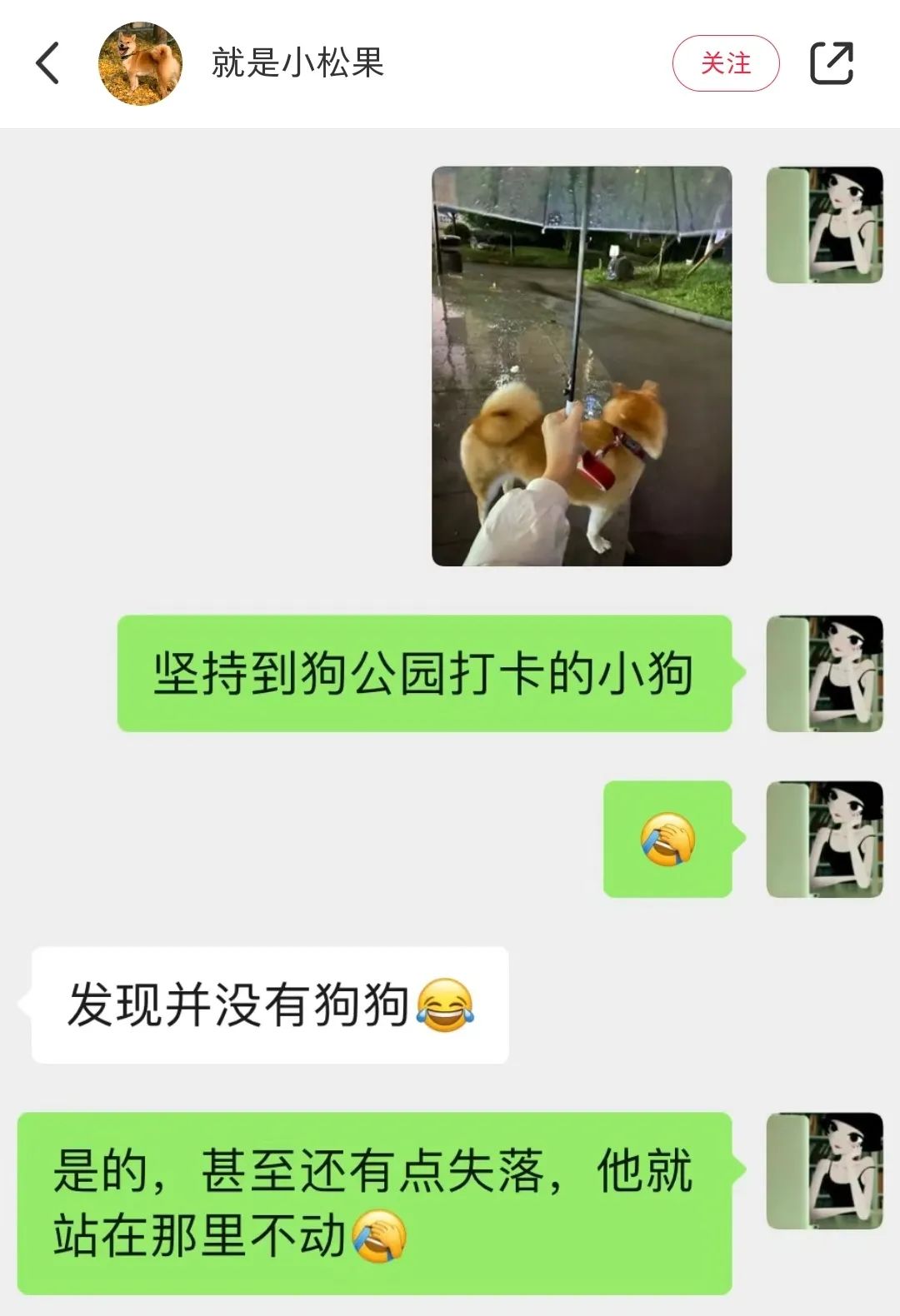 柴犬笑死,笑死人的柴犬视频