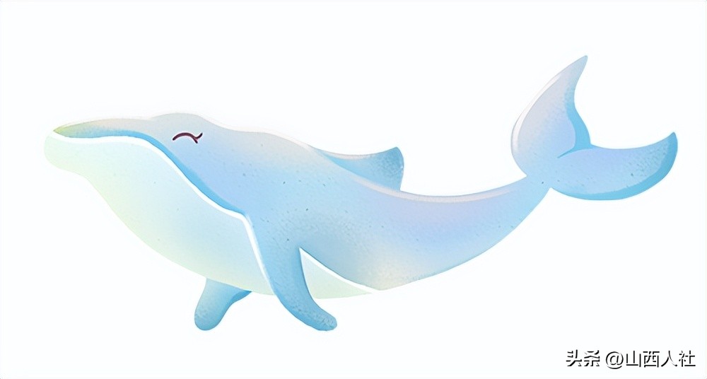 高校毕业生求职创业补贴操作指南,高校毕业生就业创业扶持政策清单