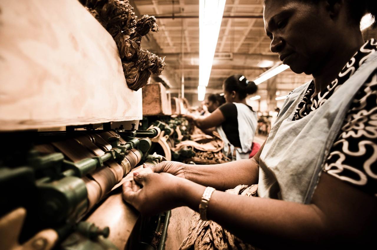 一支782万雪茄,古巴雪茄782万一支