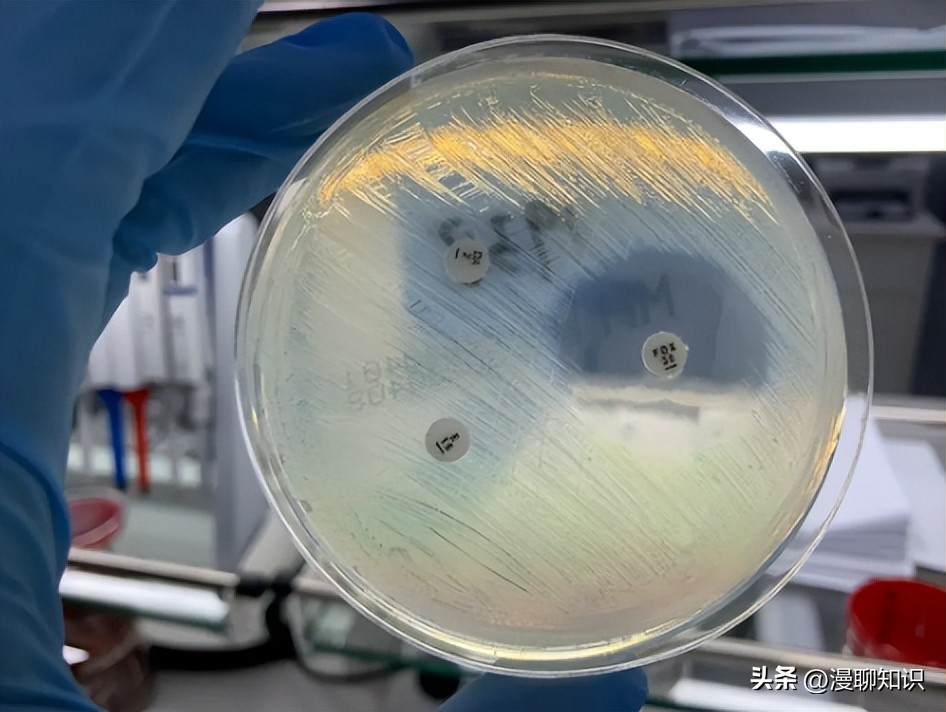 细菌是种类最广泛的畜禽微生物，如何将病毒与之分离