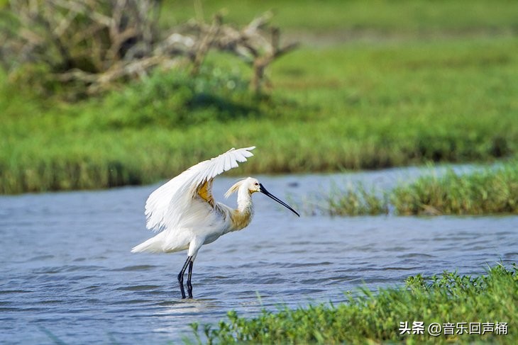 斯里兰卡打卡网红景点,斯里兰卡十大景点