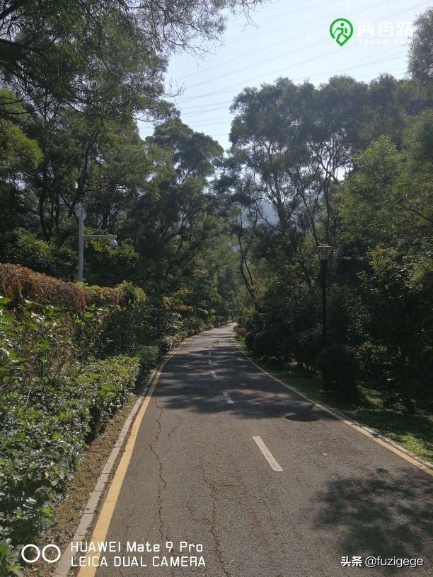 深圳徒步路线从梧桐山到盐田,深圳十峰大南山徒步最佳路线