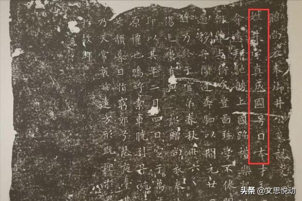 唐朝余秋雨,余秋雨谈唐朝