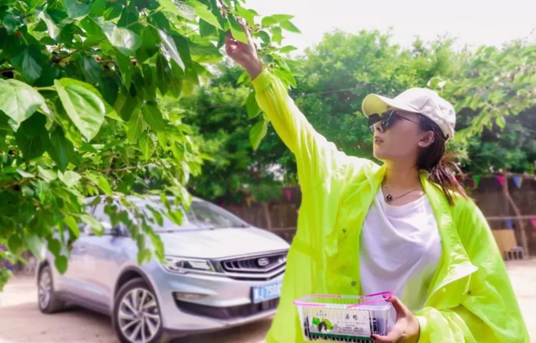 休闲农业与乡村旅游项目分析,休闲农业与乡村旅游什么时候开始