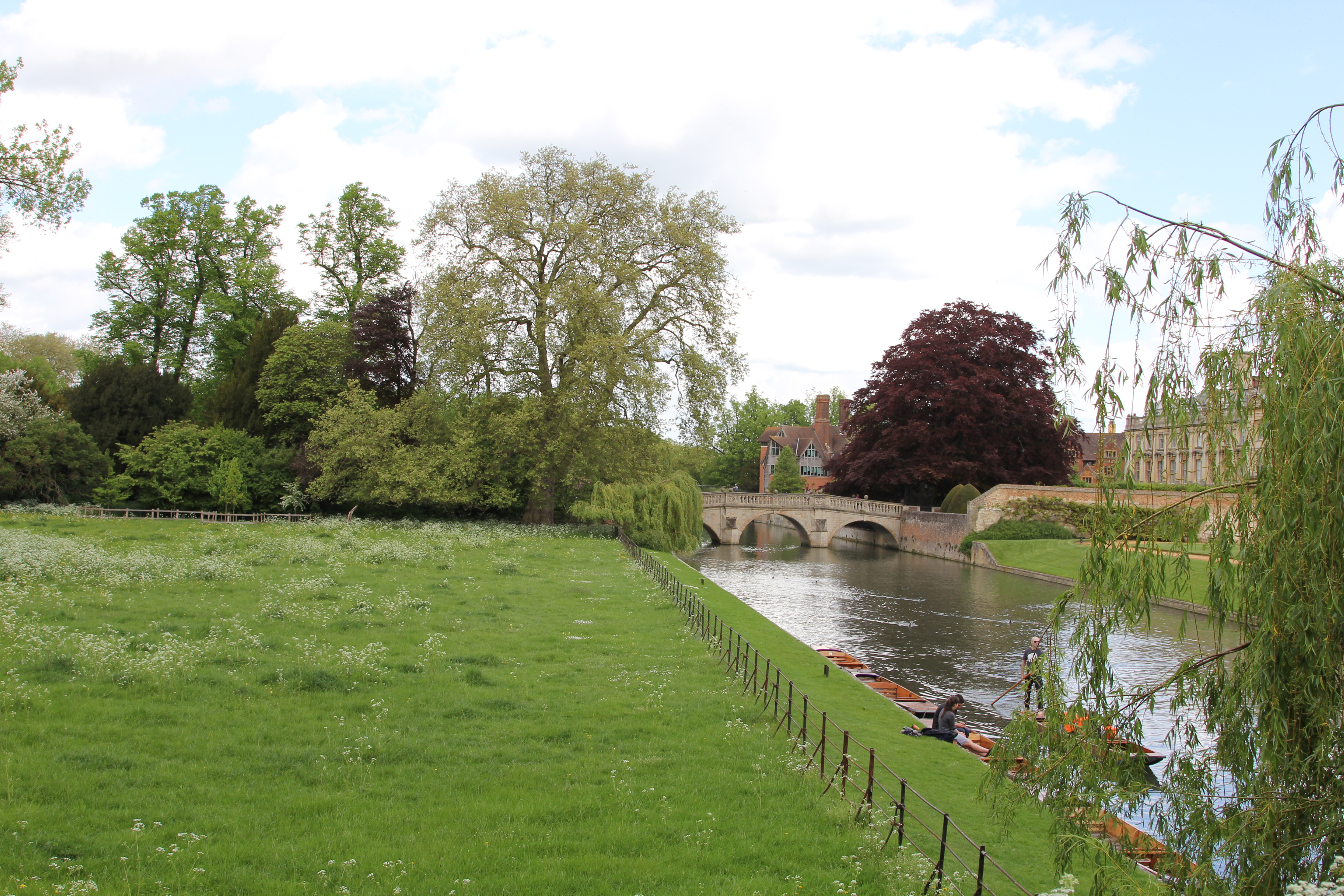 剑桥大学国王学院熊伟教授,剑桥大学国王学院唱诗班