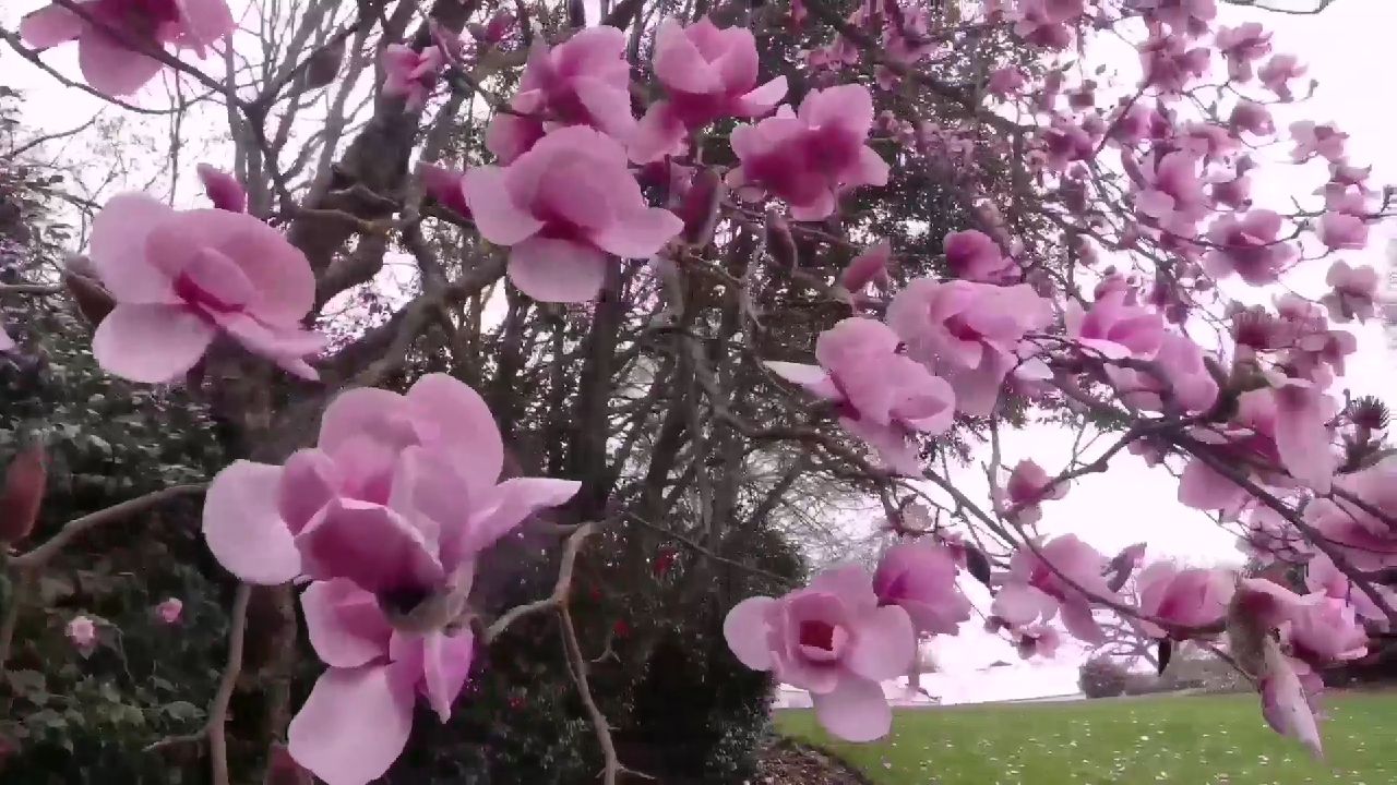 好山好水好寂寞69563725,好山好水好寂寞出处