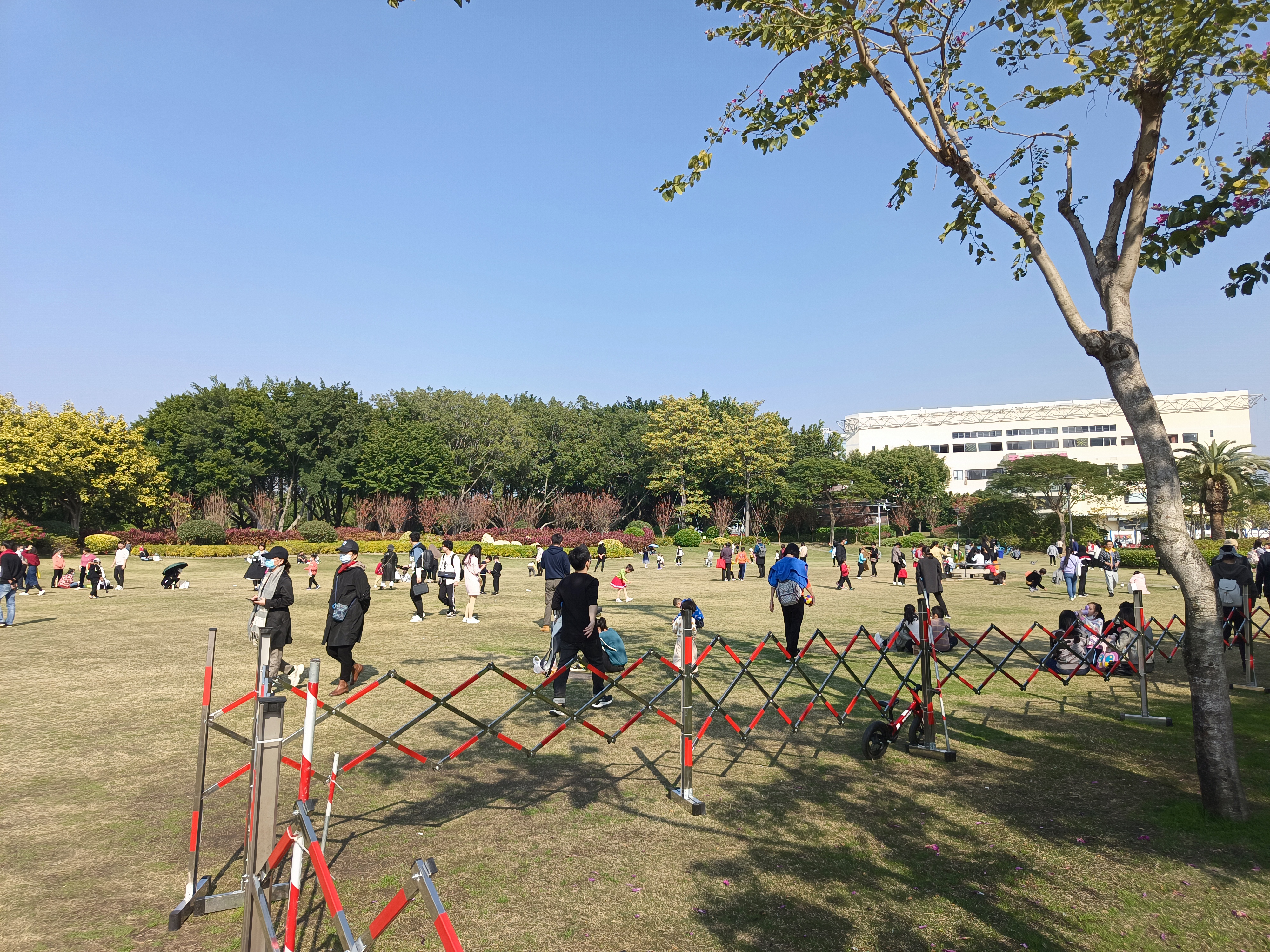 厦门最大广场公园,厦门城市广场最大景点
