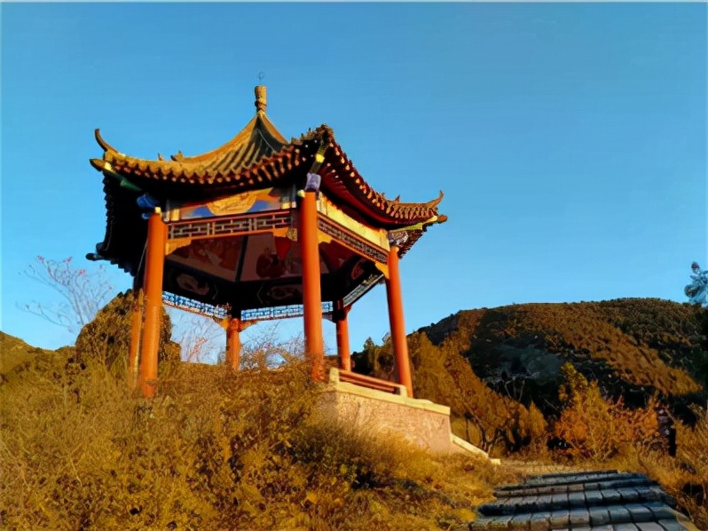 元旦福利礼物,元旦节送福利