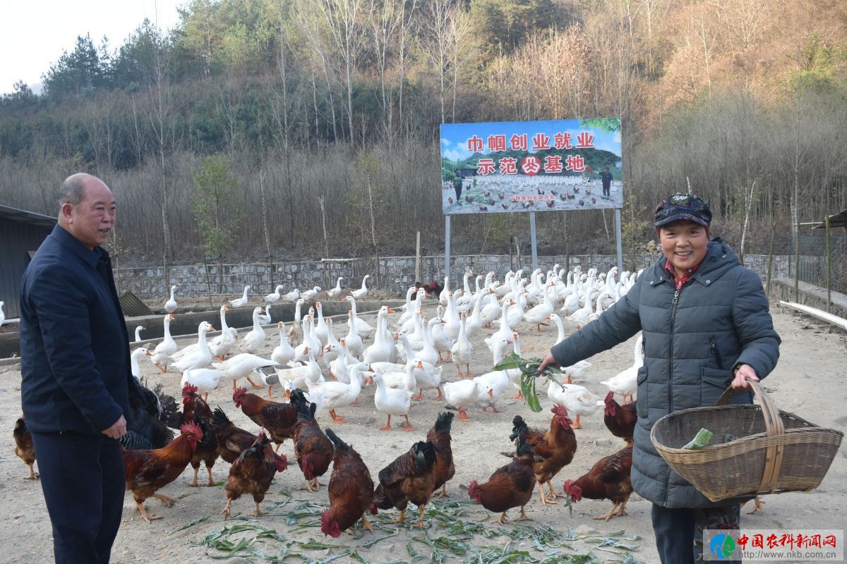 带领村民致富的好支书,好支书助农增收