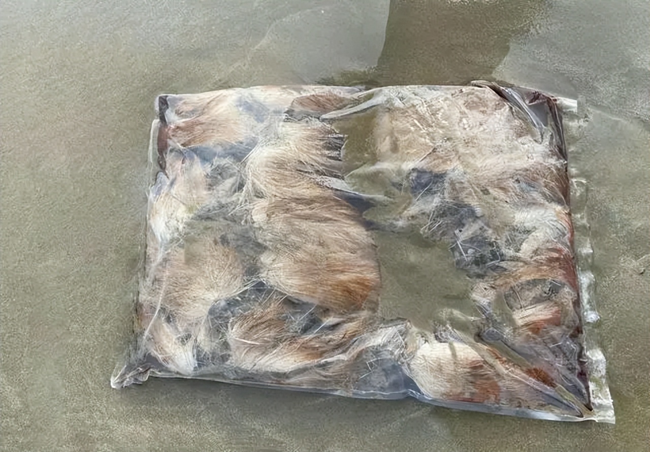 麝香有什么价格,麝香有多稀缺