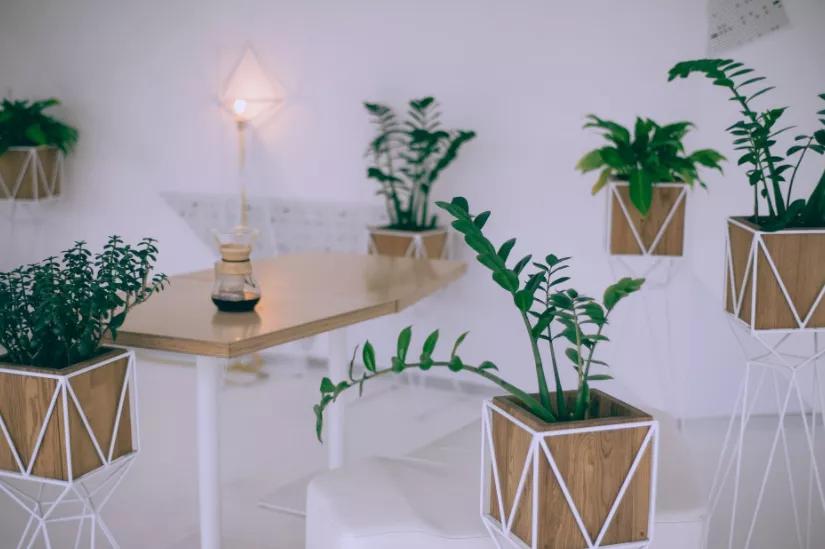 人生最好的状态知足常乐顺其自然,生活得之坦然失之淡然顺其自然