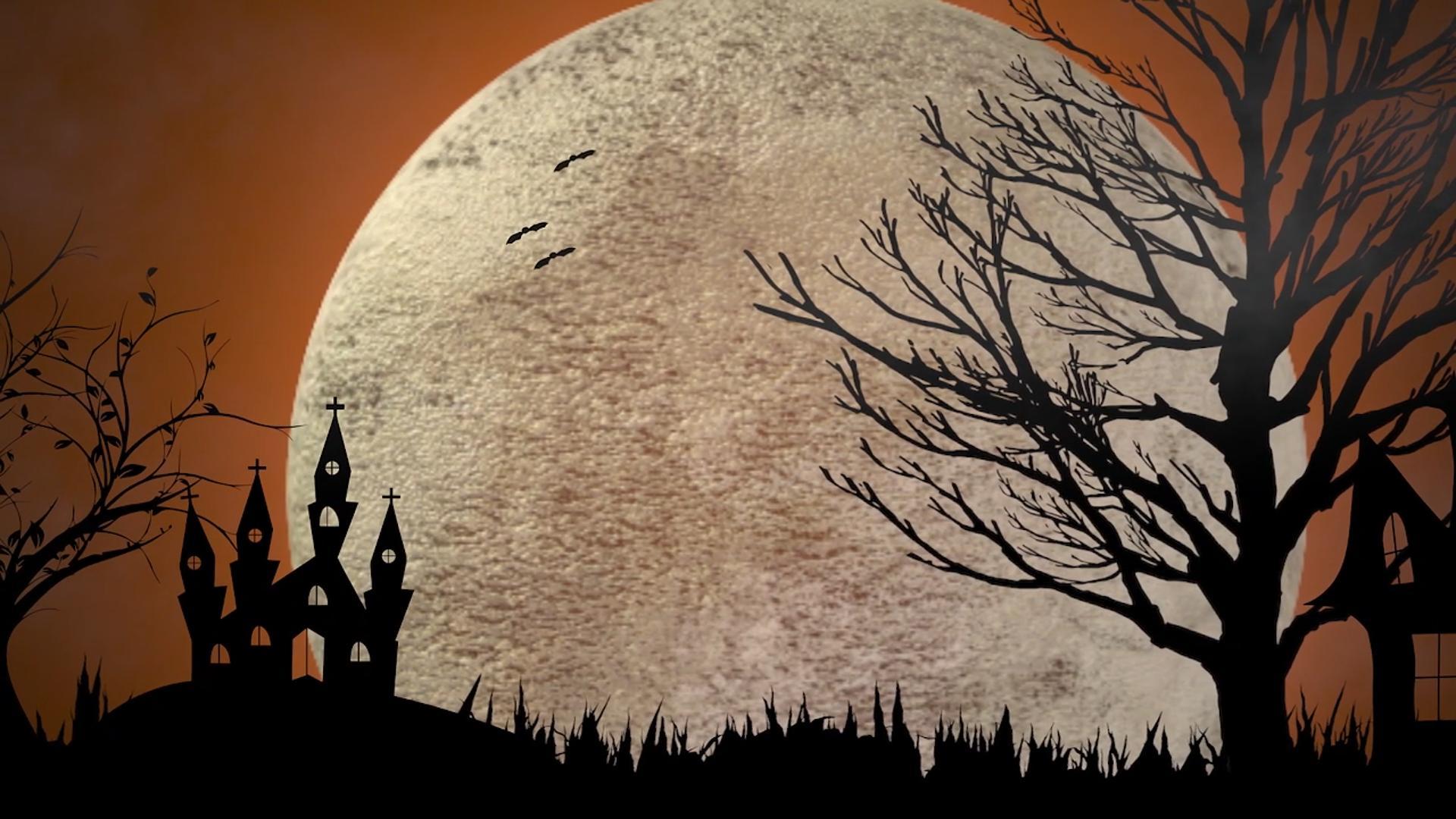 月球的潮汐力会使地球停止转动吗,月球为什么会引起地球的潮汐现象