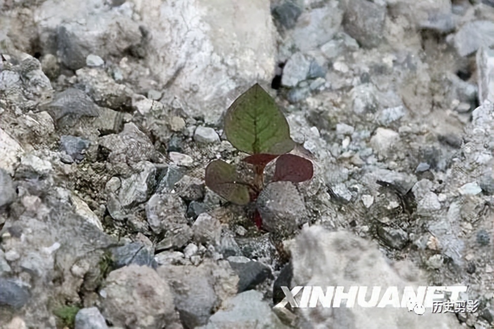 汶川地震15周年：100张照片，100个让人泪流满面的瞬间
