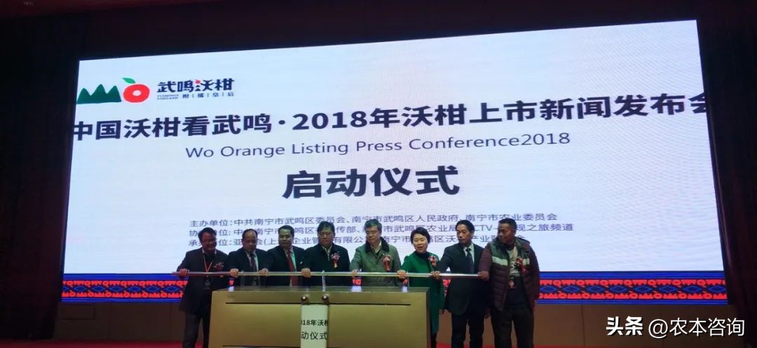 武鸣沃柑什么品种最好,武鸣沃柑热销全球