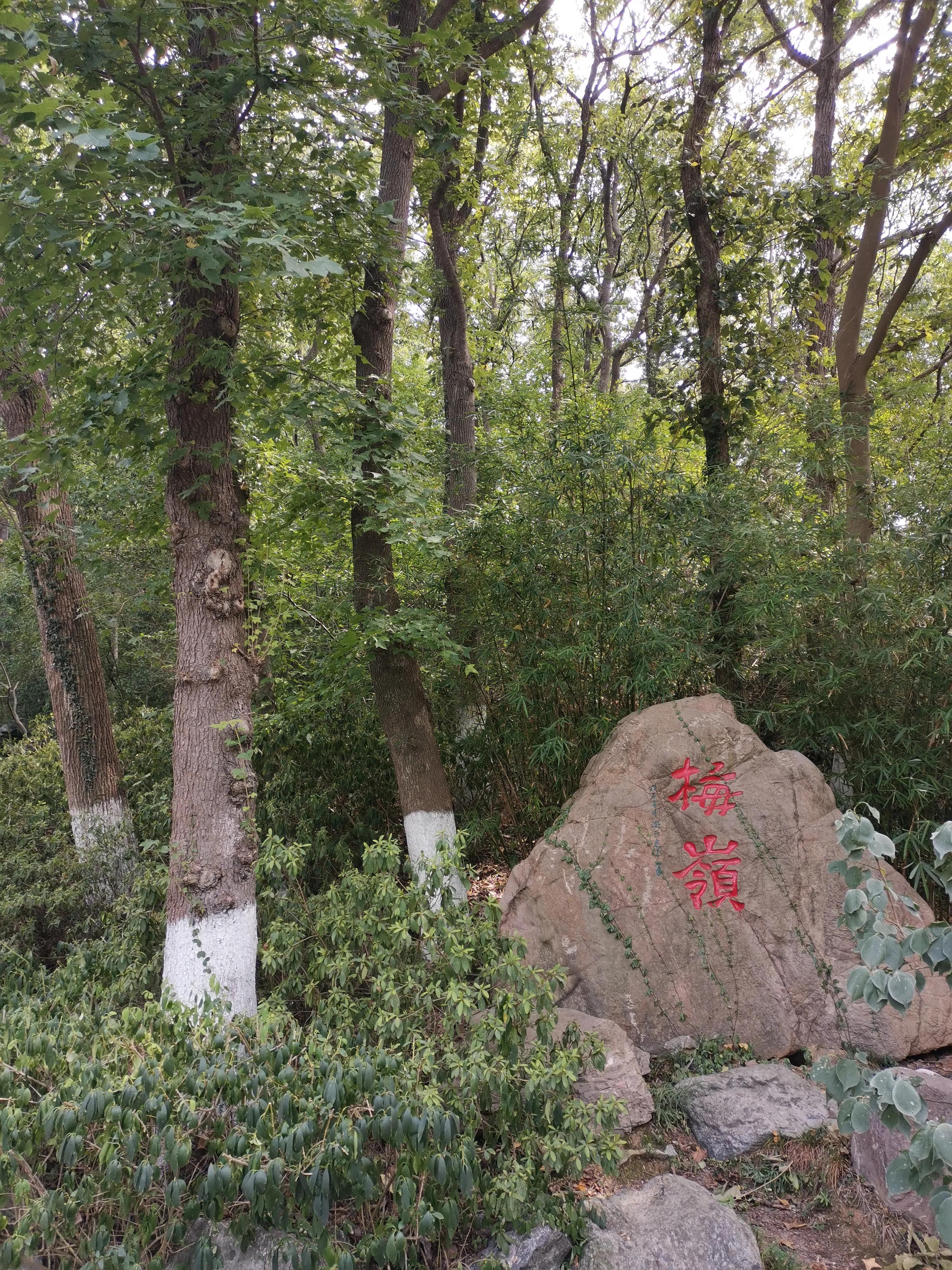 南京出发到镇江一日游跟团多少钱,南京去镇江旅行攻略路线