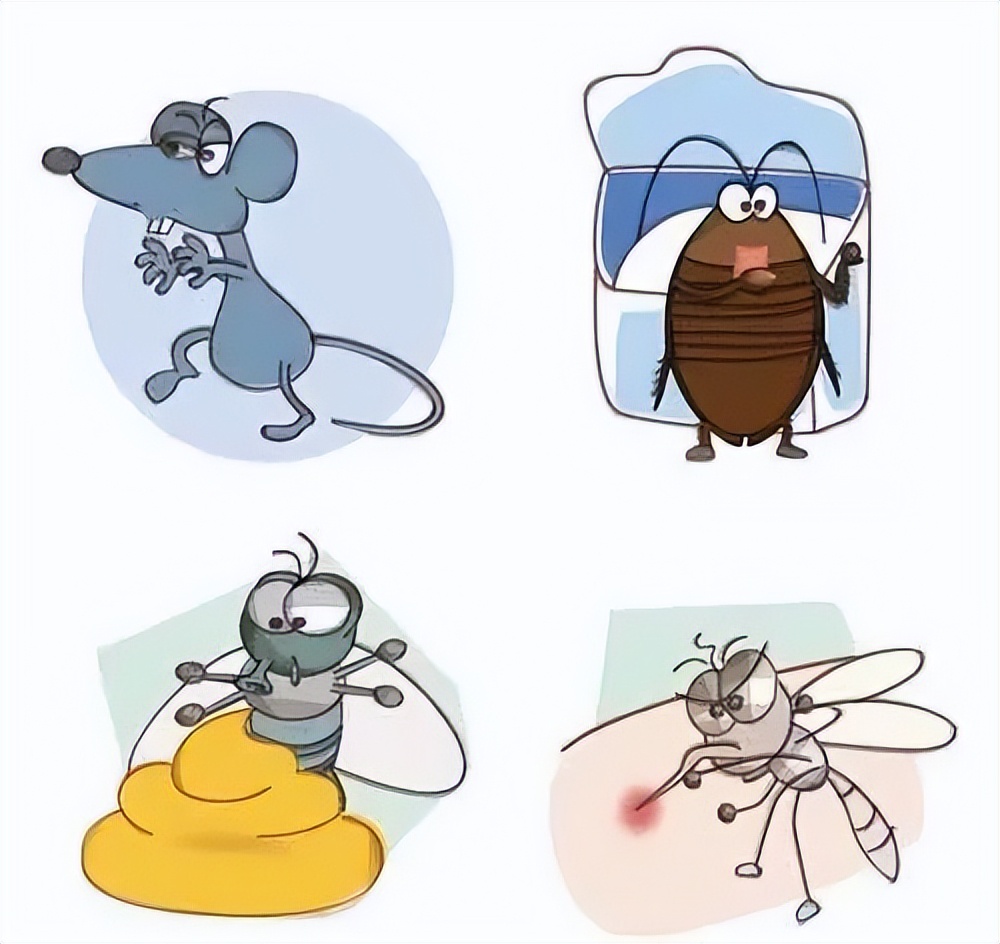 夏季消灭蚊虫的好方法,怎么消灭室内四害