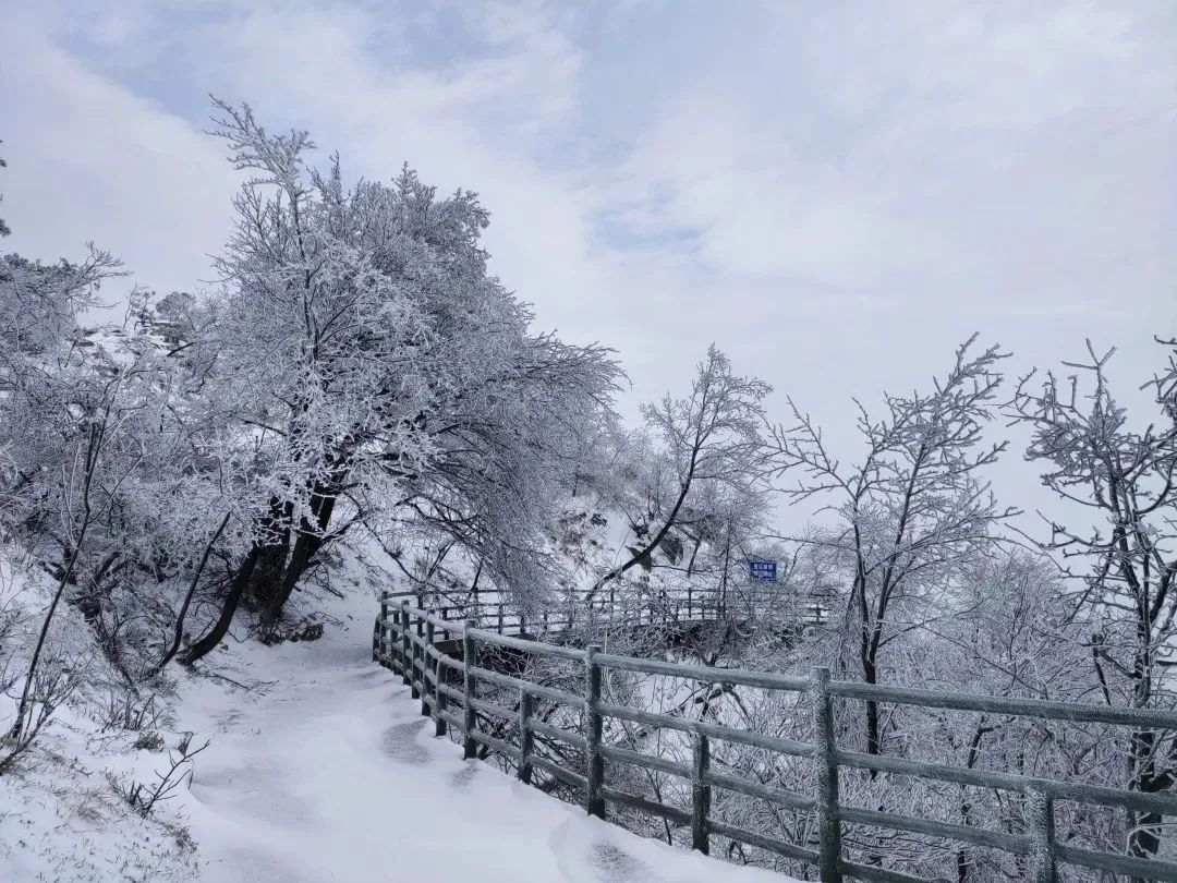 雪落成白墨影成殇,零落成妆