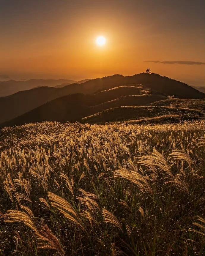 怎么学会挣有钱人的钱,挣有钱人的钱的项目