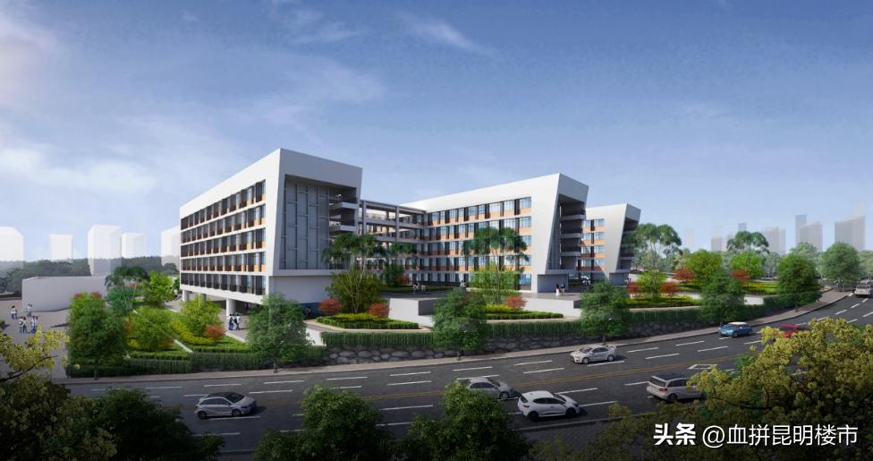 从小学到初中再到高中毕业,从小学到初中高中大学一路走来