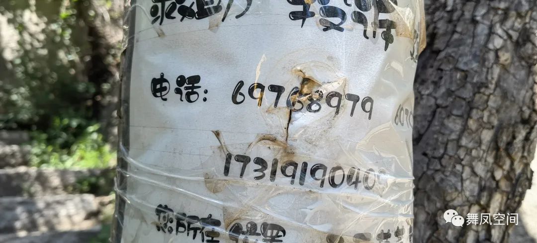 白虎涧为什么被称为北京的后花园,北京名胜白虎涧