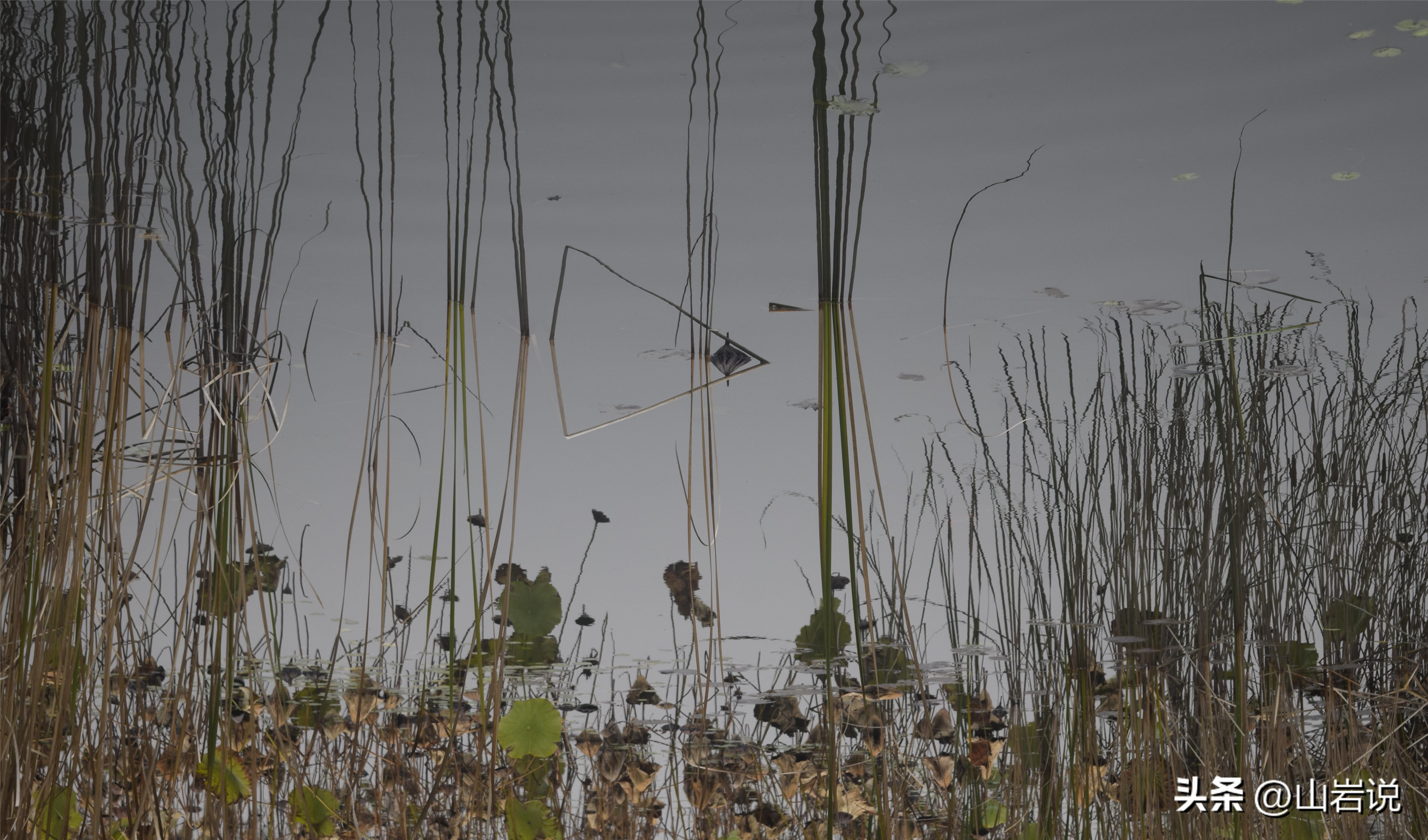 一杯茶一缕阳光一段惬意的时光,一杯茶一段时光人生感悟