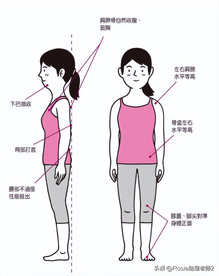 蔡文静上镜显胖的真实对比,蔡文静晒健身绝美腹肌照