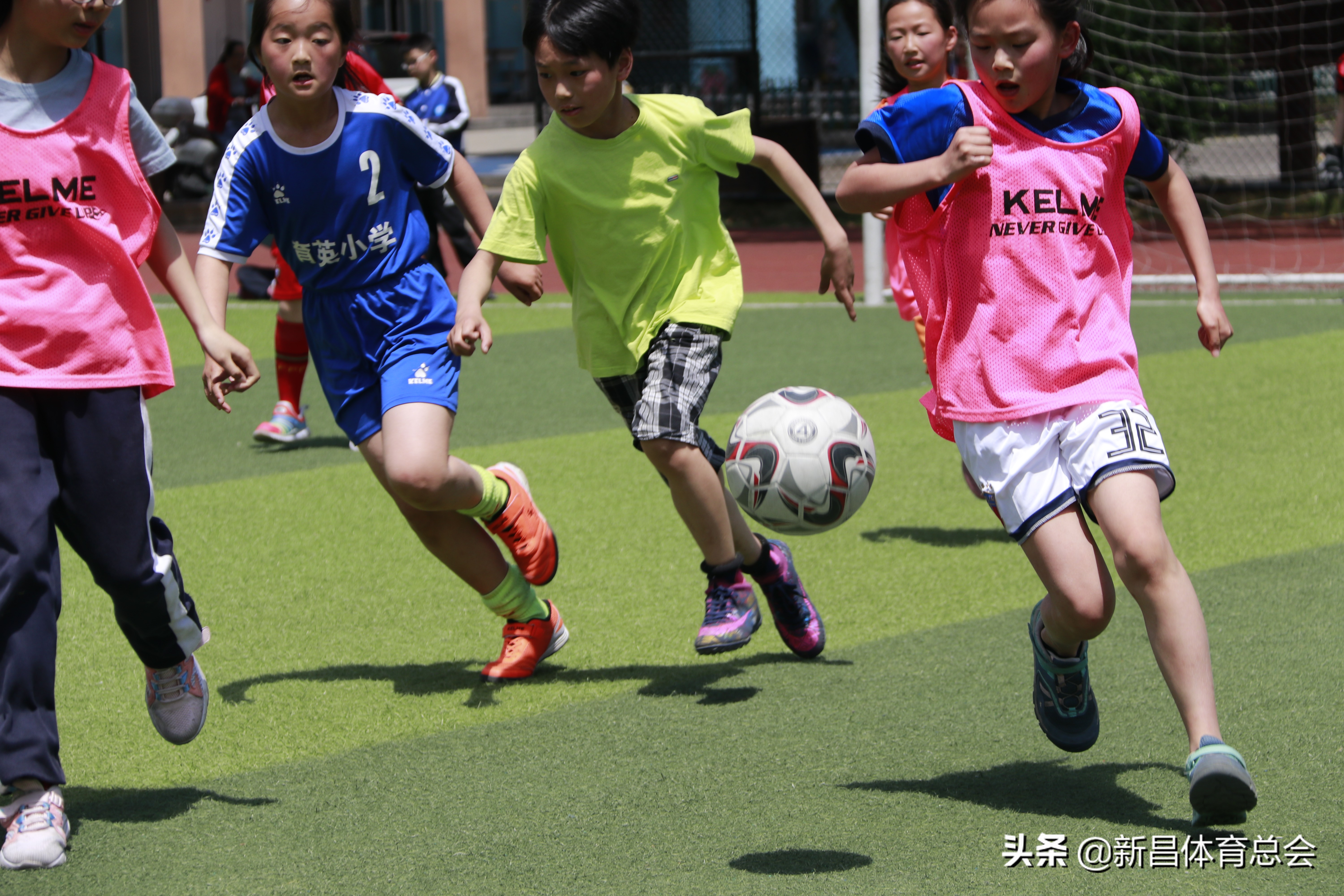 瓒虫櫤澶氳皨瓒崇悆,瓒虫櫤澶氳皨瓒崇悆灏忓皢