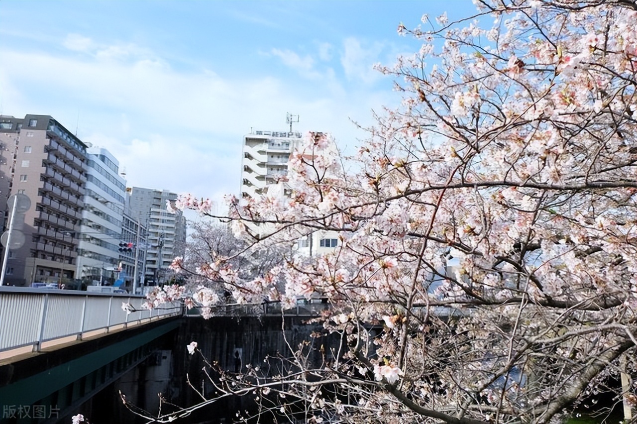亚洲第一高校东京大学