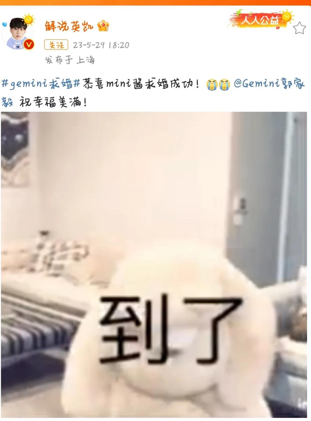 gemini四冠教练,王者荣耀gemini四大天王