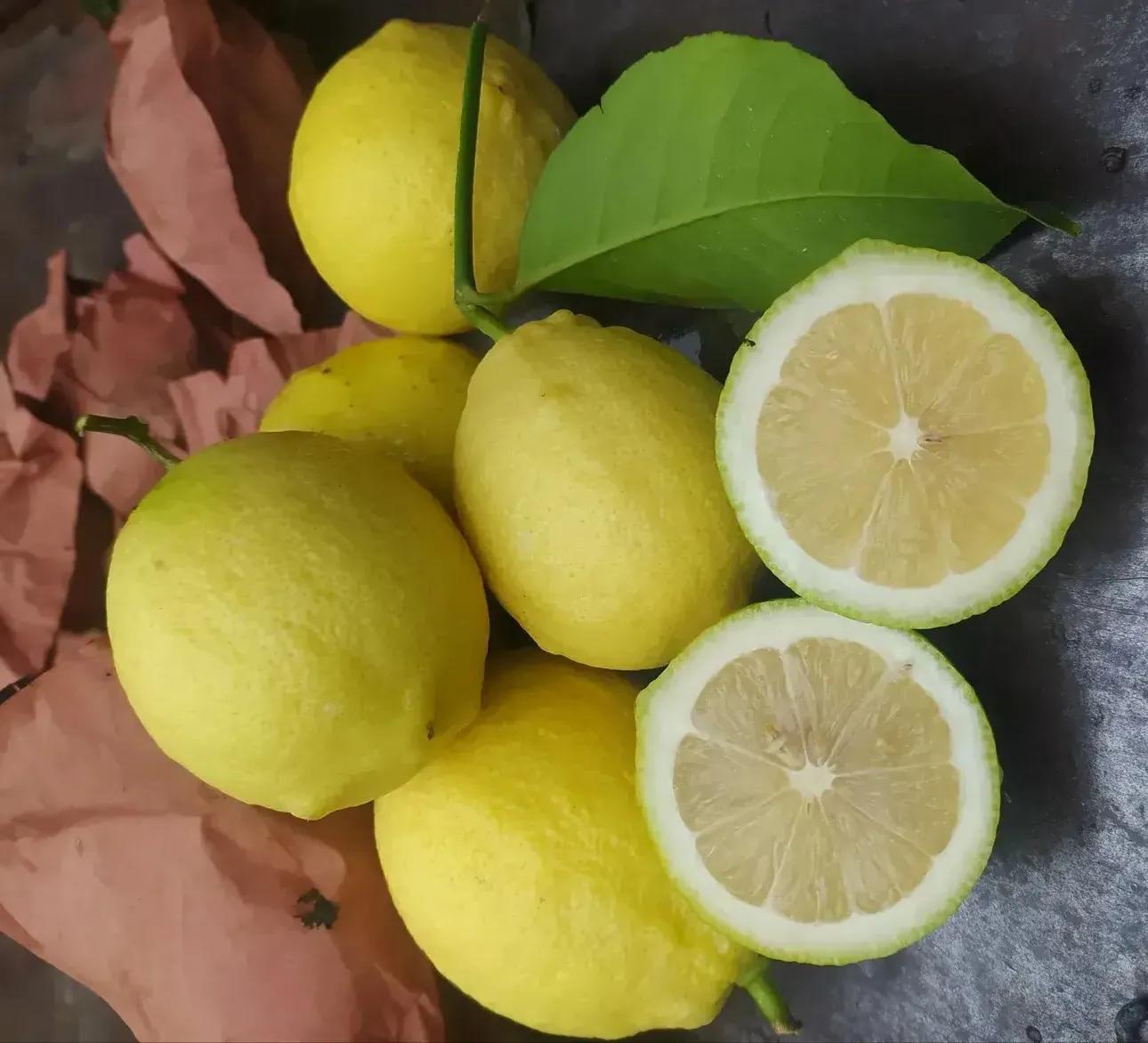 四川柠檬之乡安岳是哪个市,安岳成渝之心