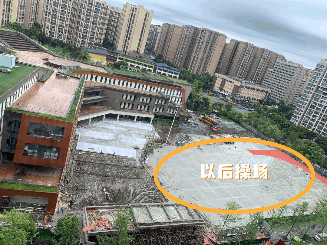 草堂子美,草堂子美怎么样