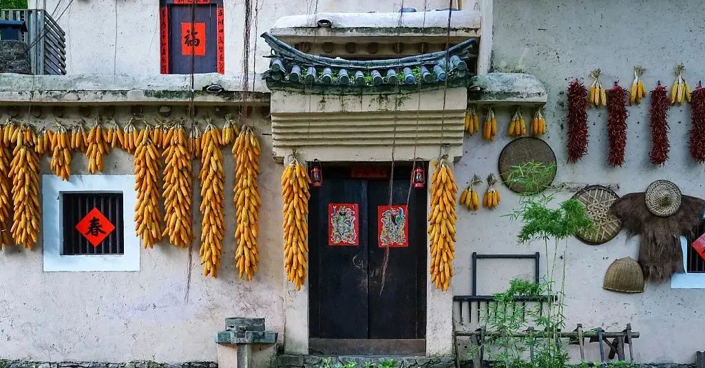 乡村振兴庭院案例,美丽庭院庭院经济助力乡村振兴