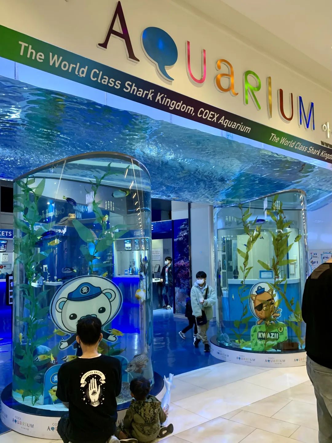 来首尔散步好地方,来首尔去哪玩