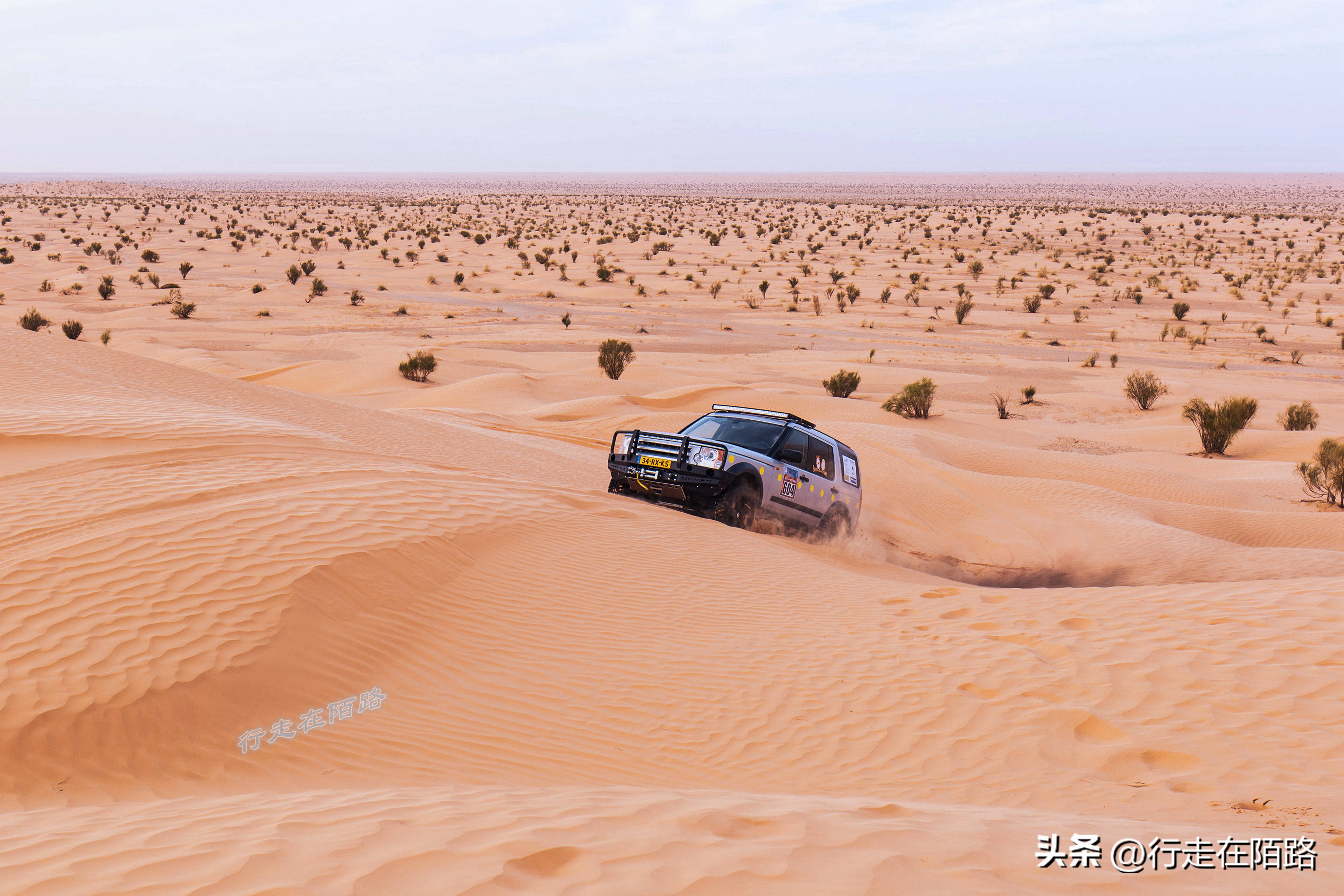 去过撒哈拉沙漠盐湖，才知道所谓的“喜马拉雅盐”是智商税