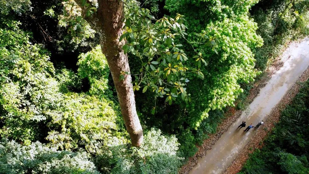 昆明七彩云南怎么样,七彩云南避暑家园