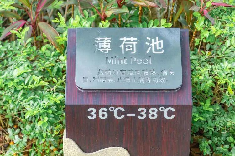 沉浸式泡温泉水酷汤泉,冬季室外温泉别样感受