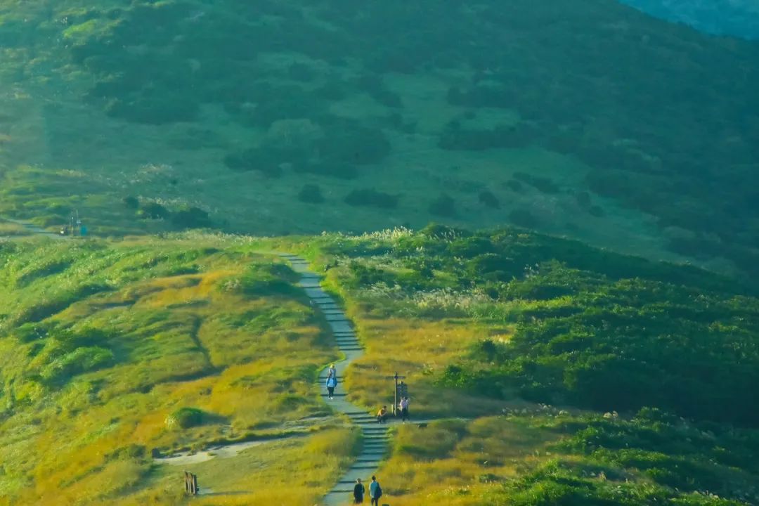 海美、小吃巨好吃！这个神还原游戏世界的小城，不该这样被埋没！