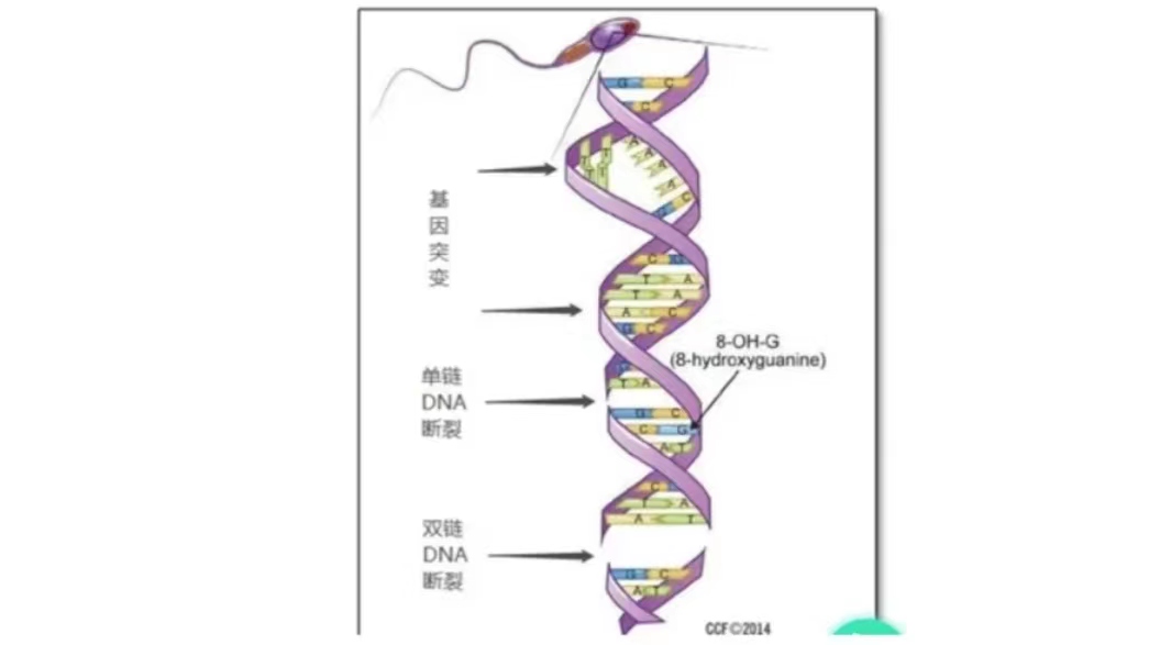 中老年夫妻应怎样生活,人到中年还需要友情吗