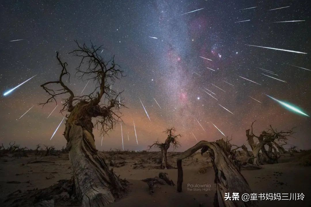 成绩不好,玩跑酷、搞摄影获大奖,全靠自学,这孩子经历了什么?