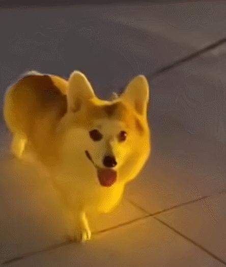 每日一笑，自己拆的家就是有安全感