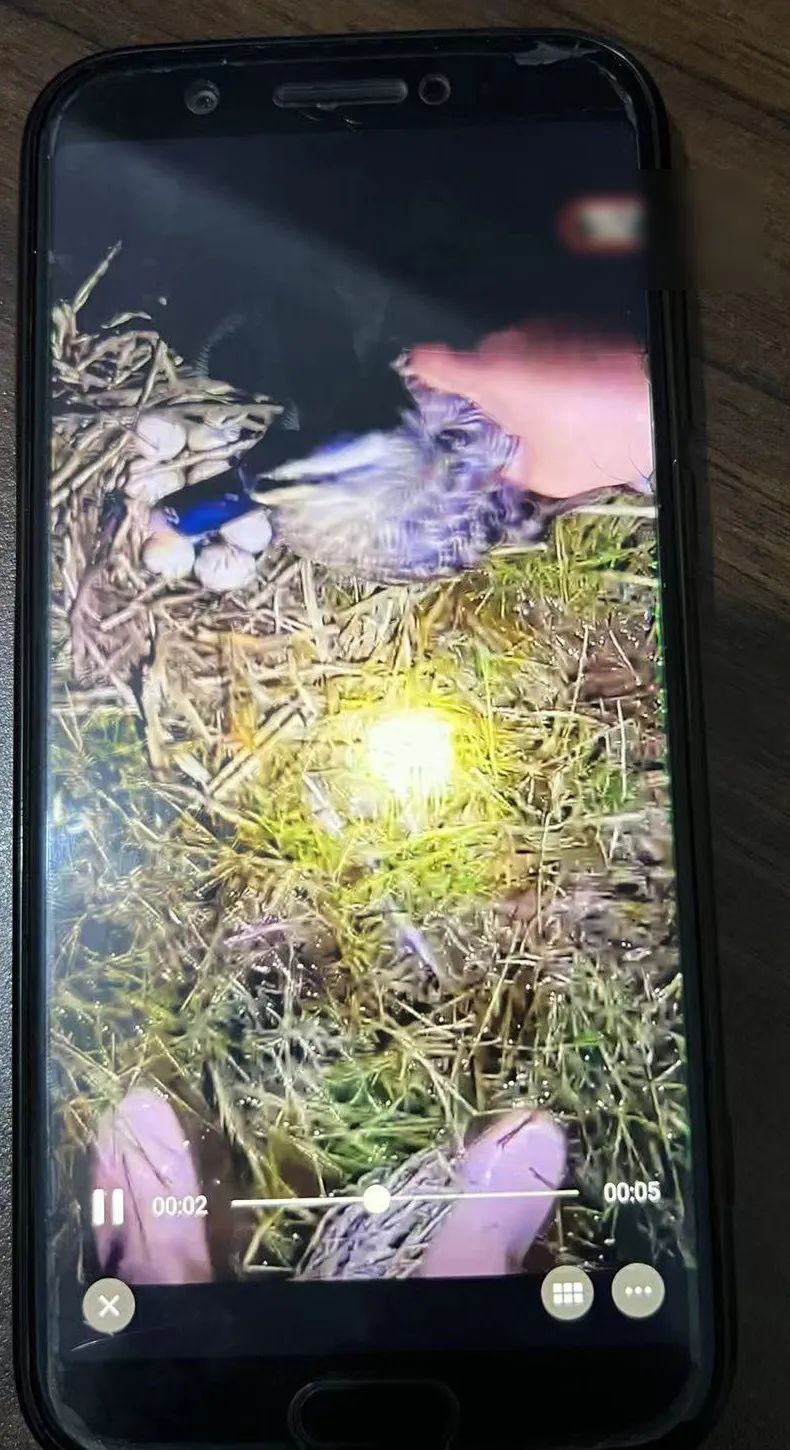 弋阳一男子网购滑膛弹弓、热成像仪等非法狩猎，还发给朋友炫耀！