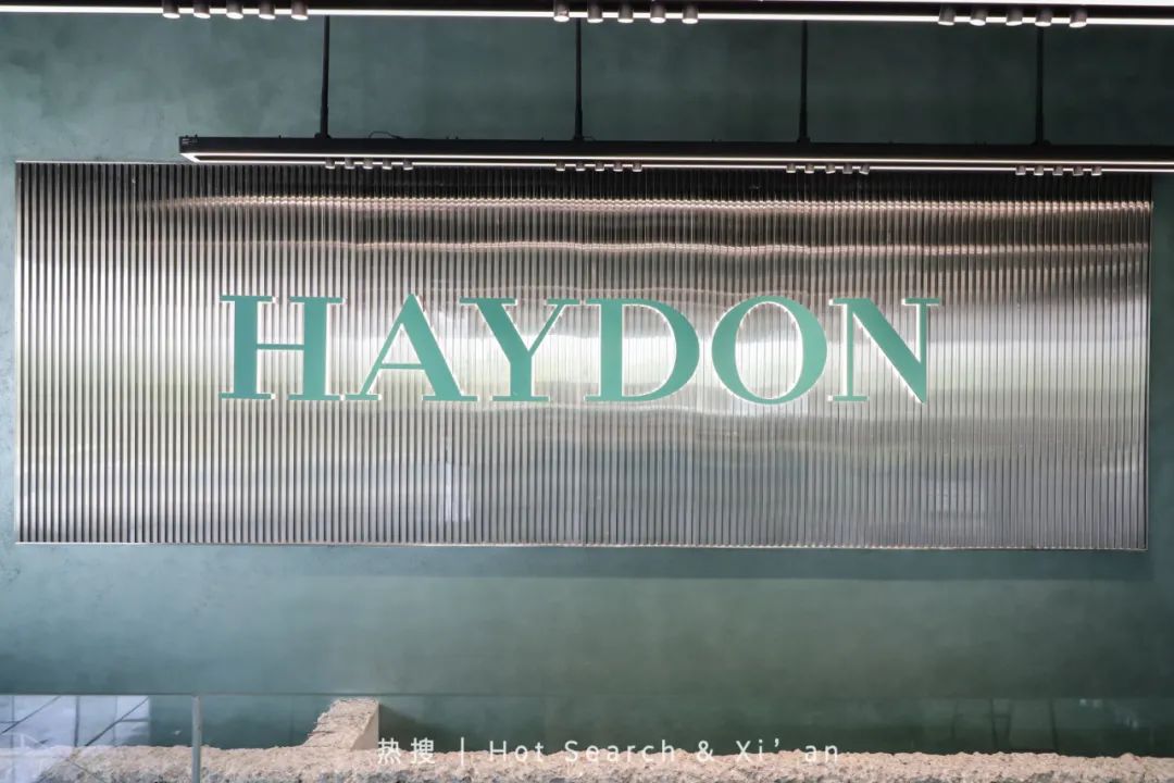 haydon黑洞北京店,haydon黑洞旗舰店上海