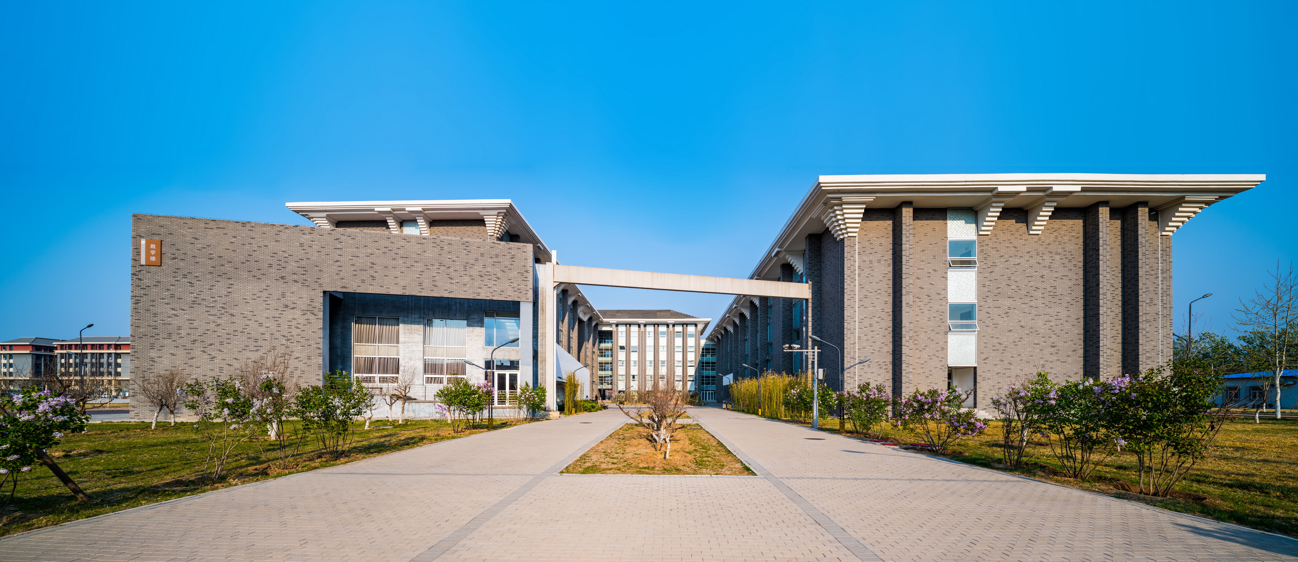 北京中医药大学2024年选科要求,高考选科要求怎么查询