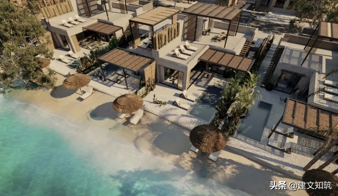 waf2023世锦赛,waf国内排名